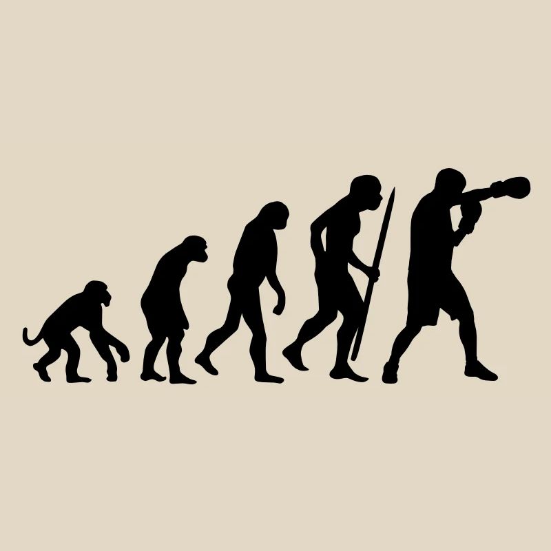 Evolution de la boxe