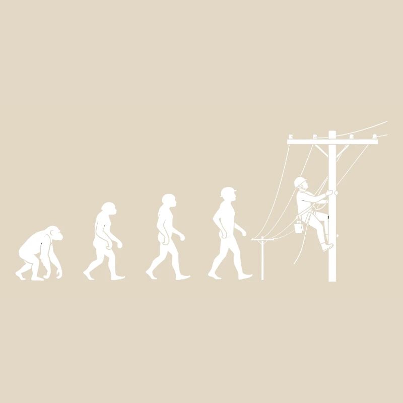 Evolution zur Netztechnik
