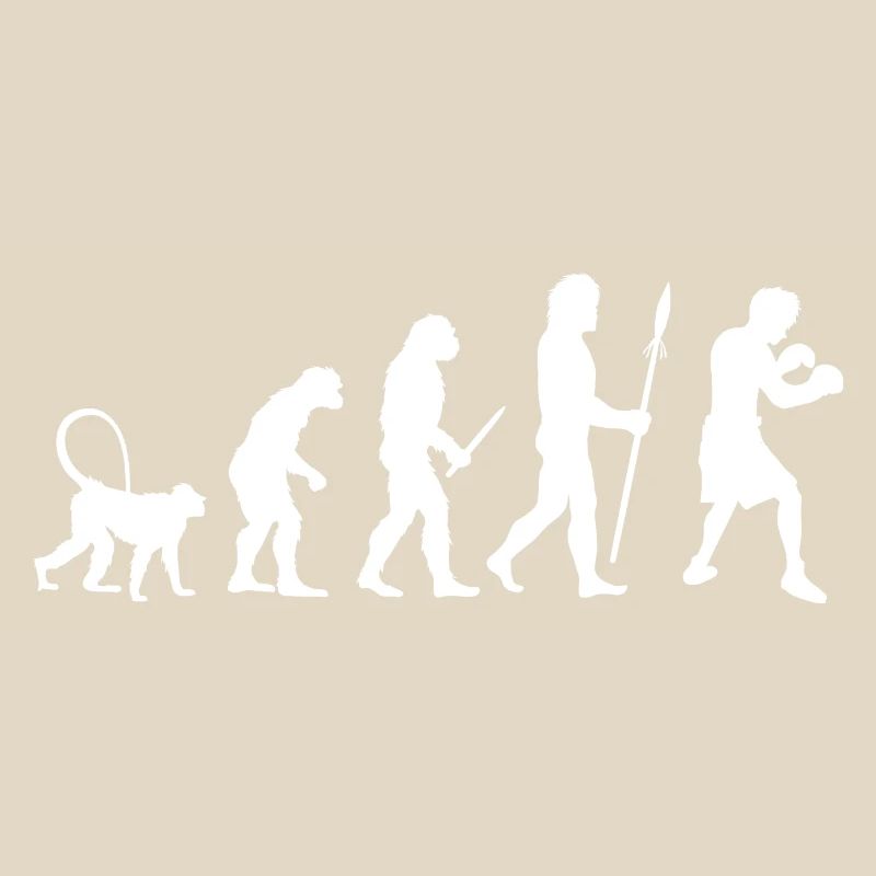 Evolution des Boxens