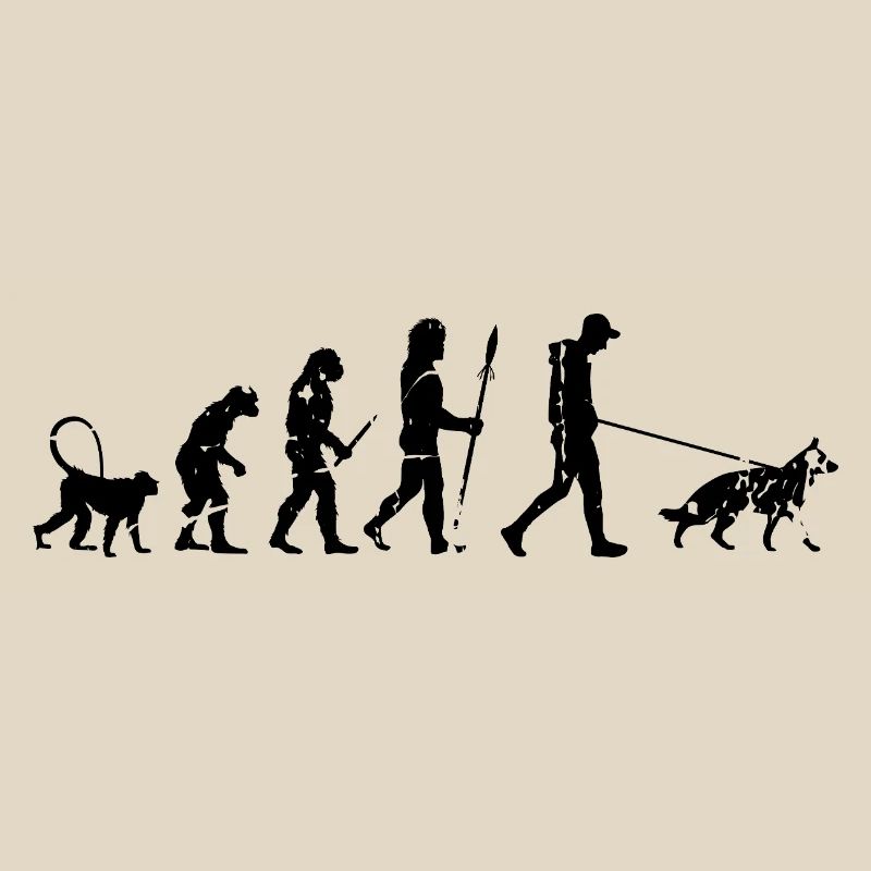 Deutscher Schäferhund Evolution