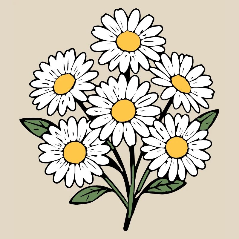 Fleur blanche Fleur blanche Fleurs Fleurs blanches Fleurs blanches