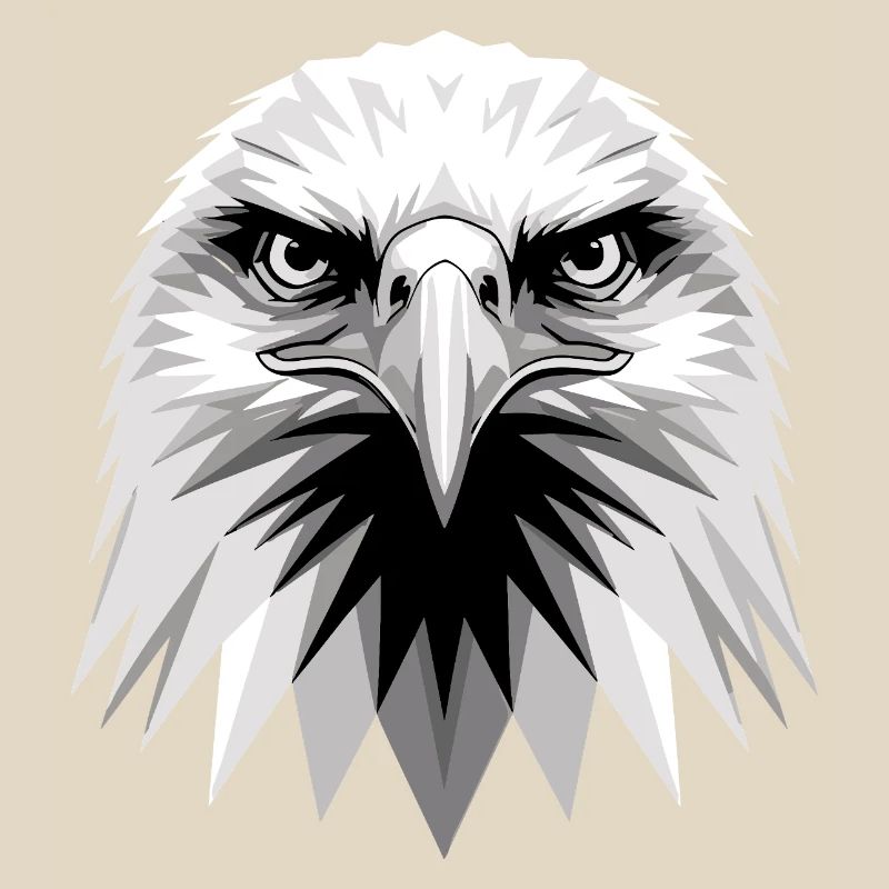 Eagle Bald Eagle Golden Eagle White-tailed Eagle