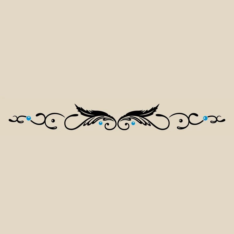Ornament with two feathers, indian style.