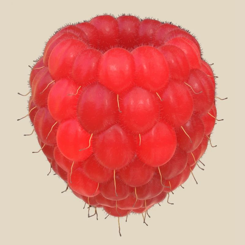 Modèle de grappe de framboises