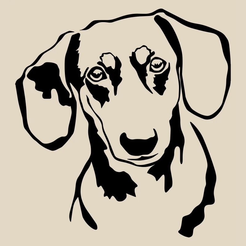 Dachshund head