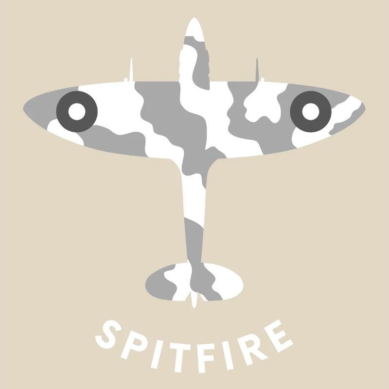 Avion de chasse de Spitfire
