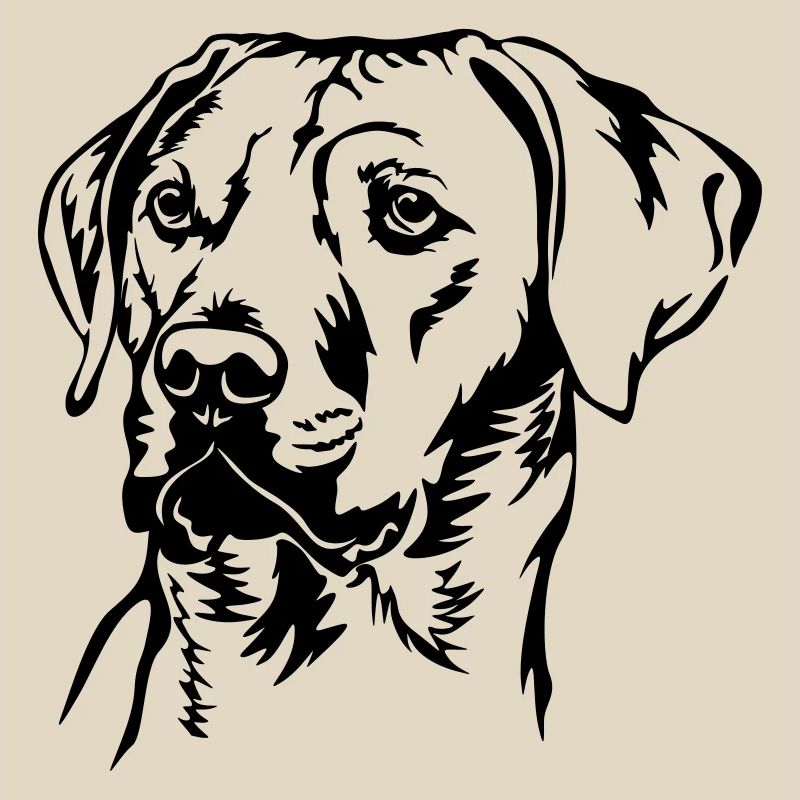 Rhodesian Ridgeback head