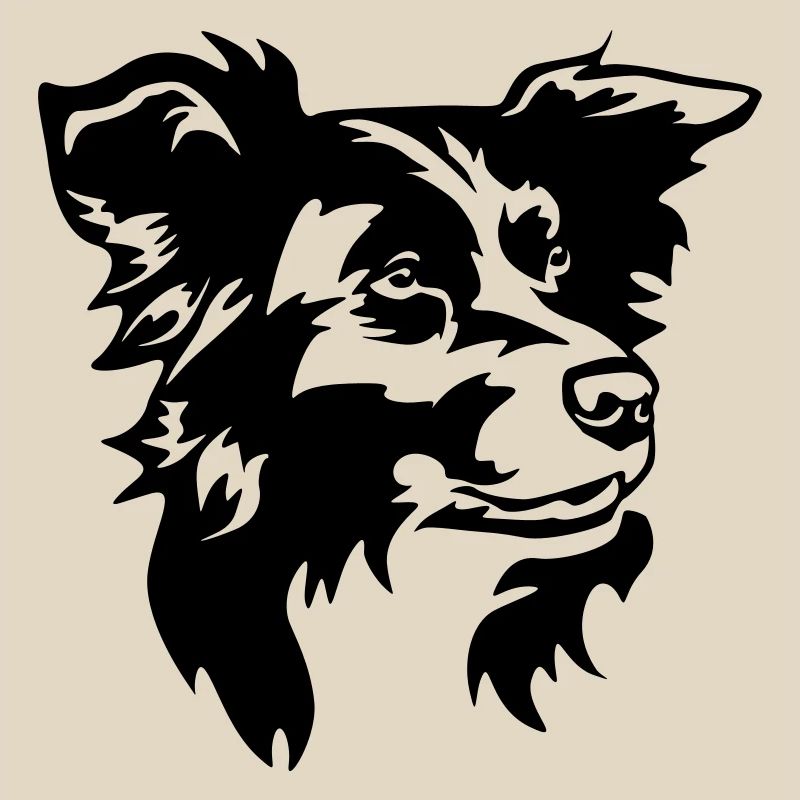 Border Collie Kopf