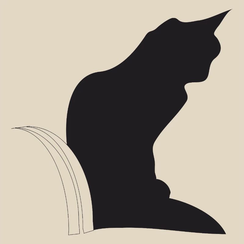 Nemo, schwarze Katz im Keller