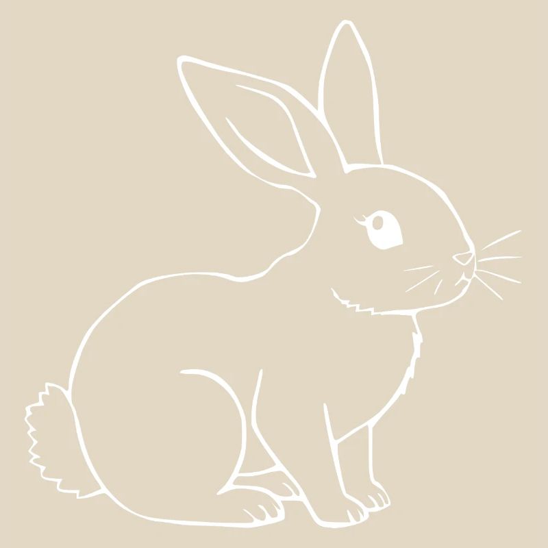 Rabbit Bunny Bunny Dwarf Rabbit Gift