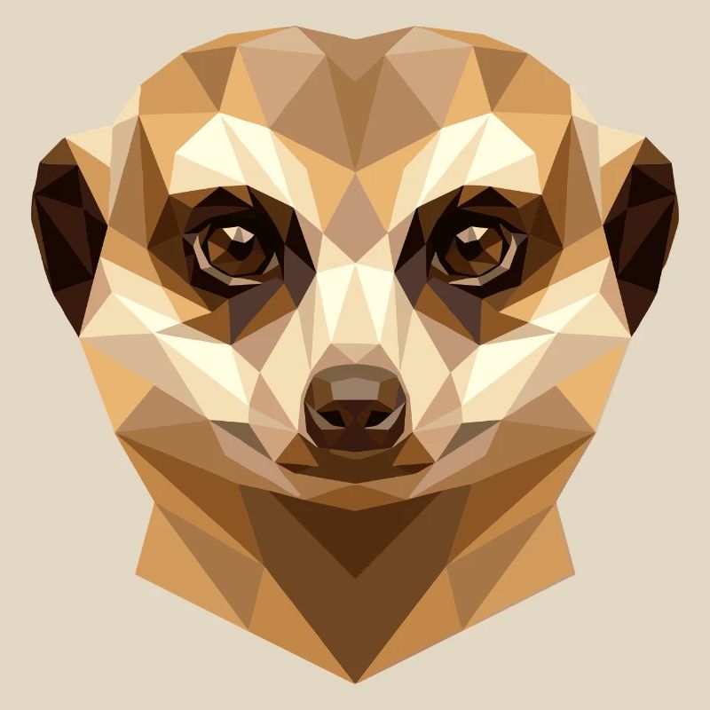 Suricate Suricate Douce Mangouste Suricate