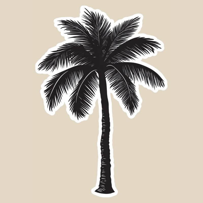 Palm tree