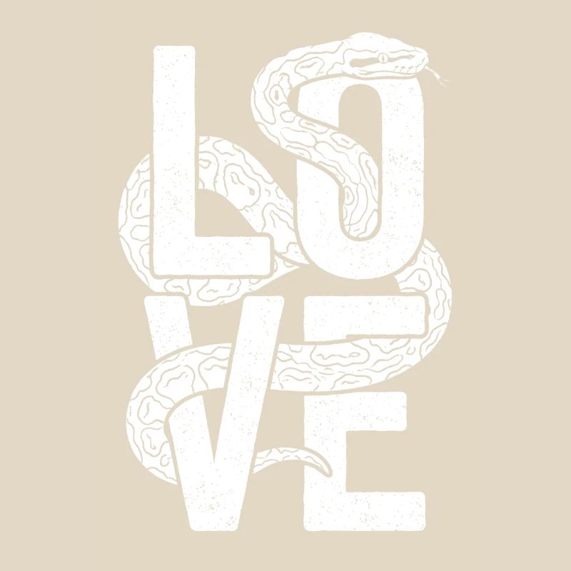 Königspython Schlangen LOVE Terrarium Python
