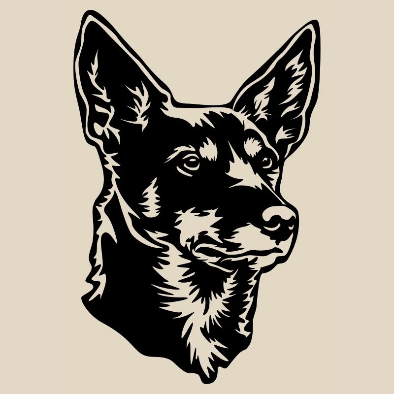 Tête de kelpie australienne