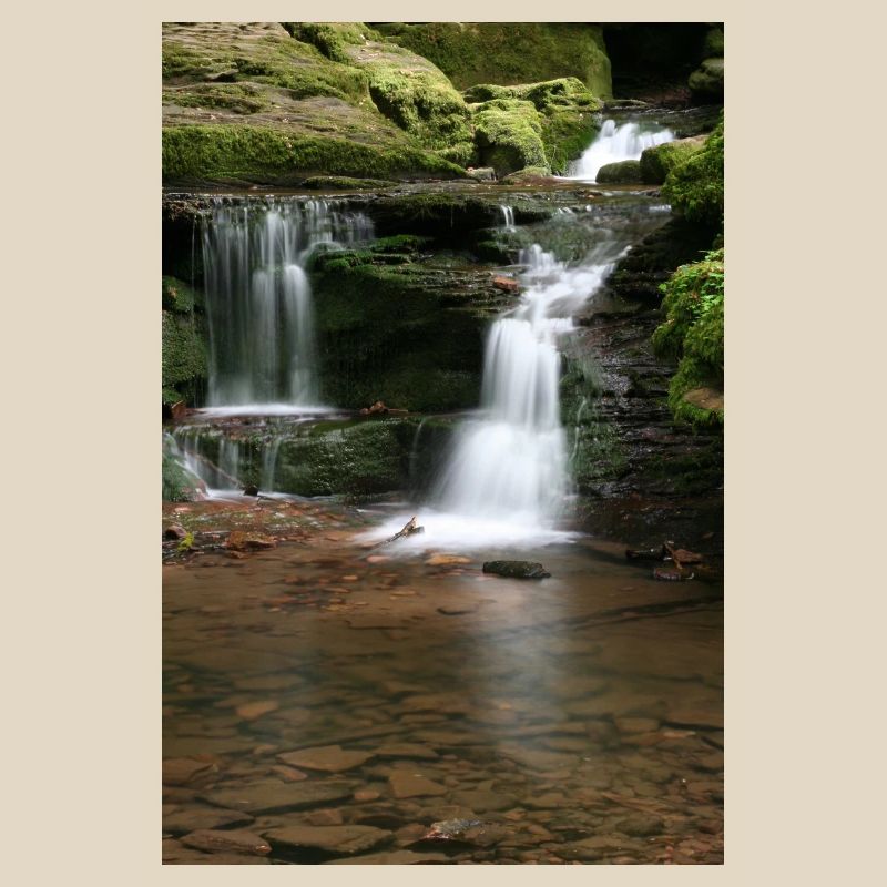 Black Forest Monbach