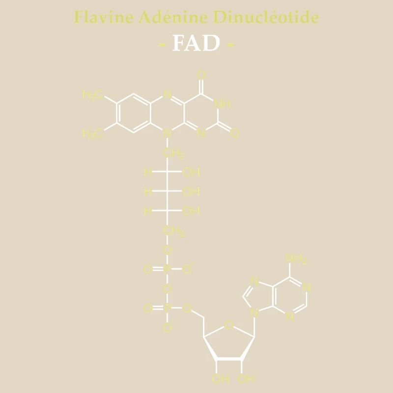 ADF Flavin-Adenin-Cofaktor