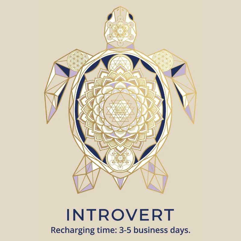Geometric Turtle Mandala Introvert