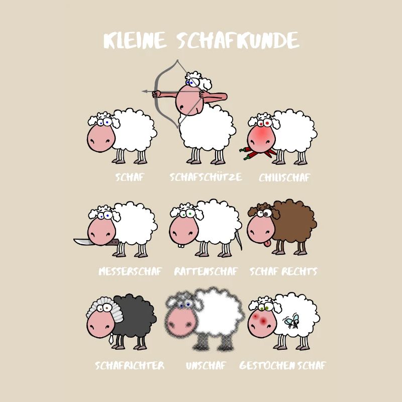 A little sheep knowledge