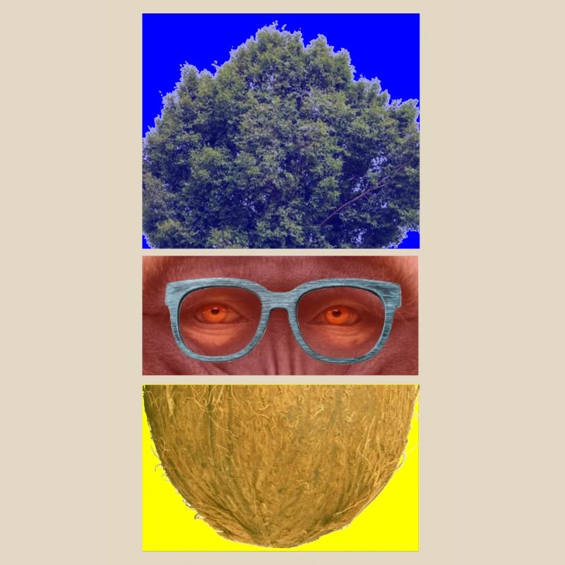 Triptyque coloré: arbre, visage et noix