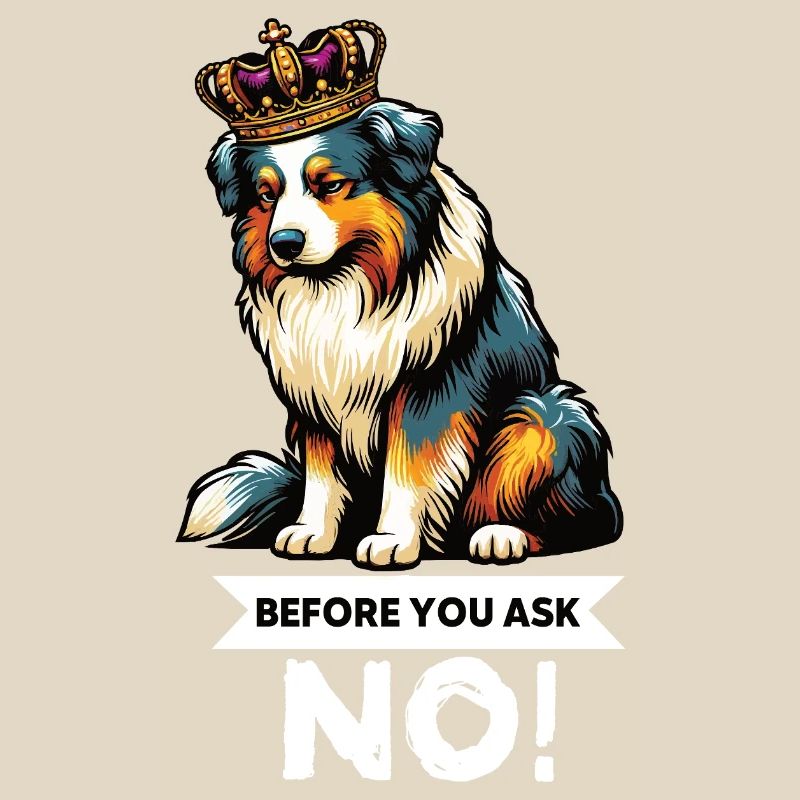 Avant de demander aux Australian Shepherds Aussie Aussies