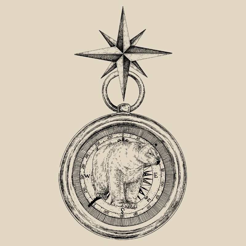 ARCTIC COMPASS