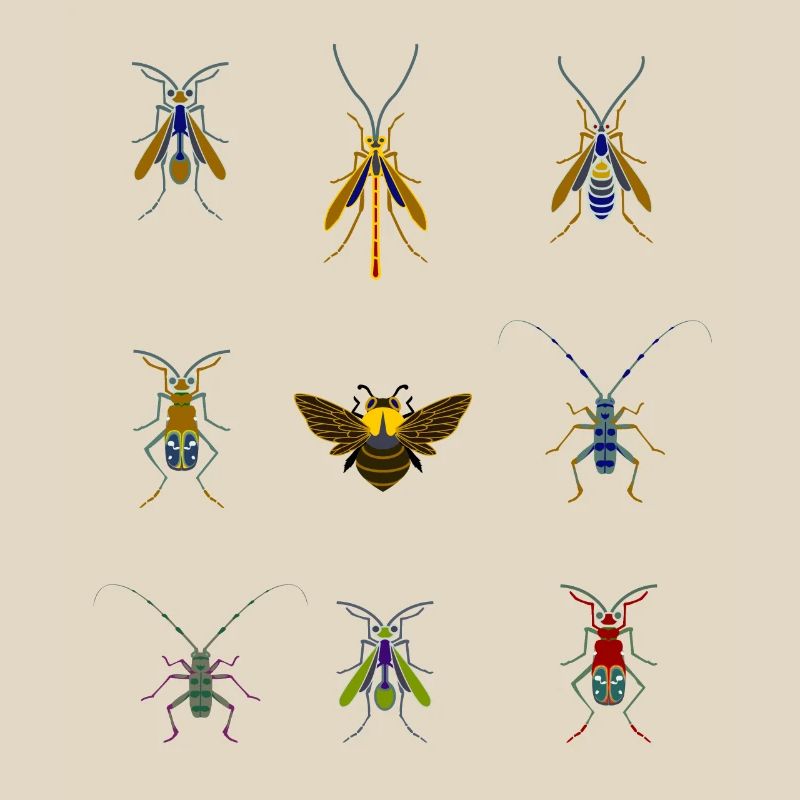 insects mosquitoes bee sting overview fly bug