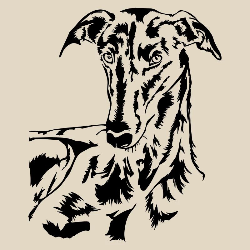 Galgo head