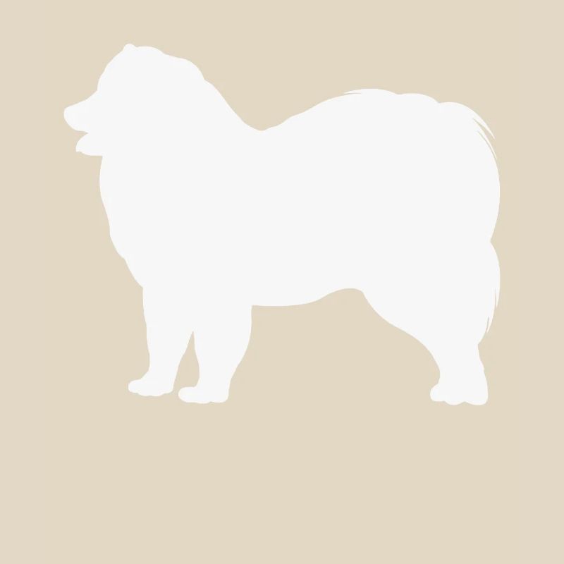 Samoyed