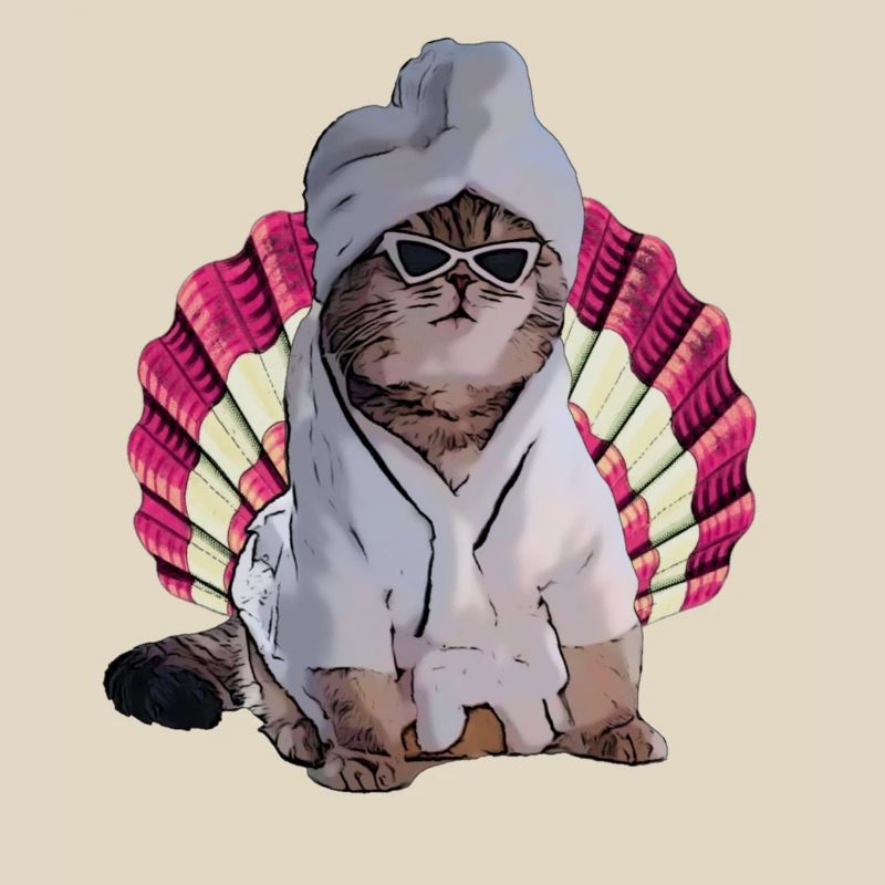 chat cool dans le spa