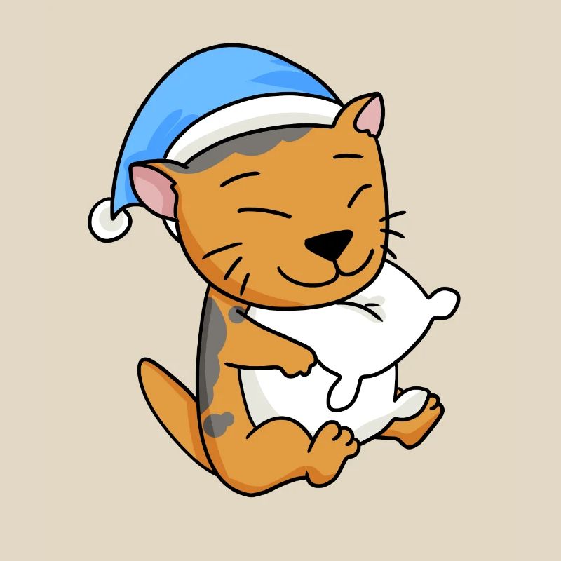 Cat Cat Breed Scottish Folding Ear Cat