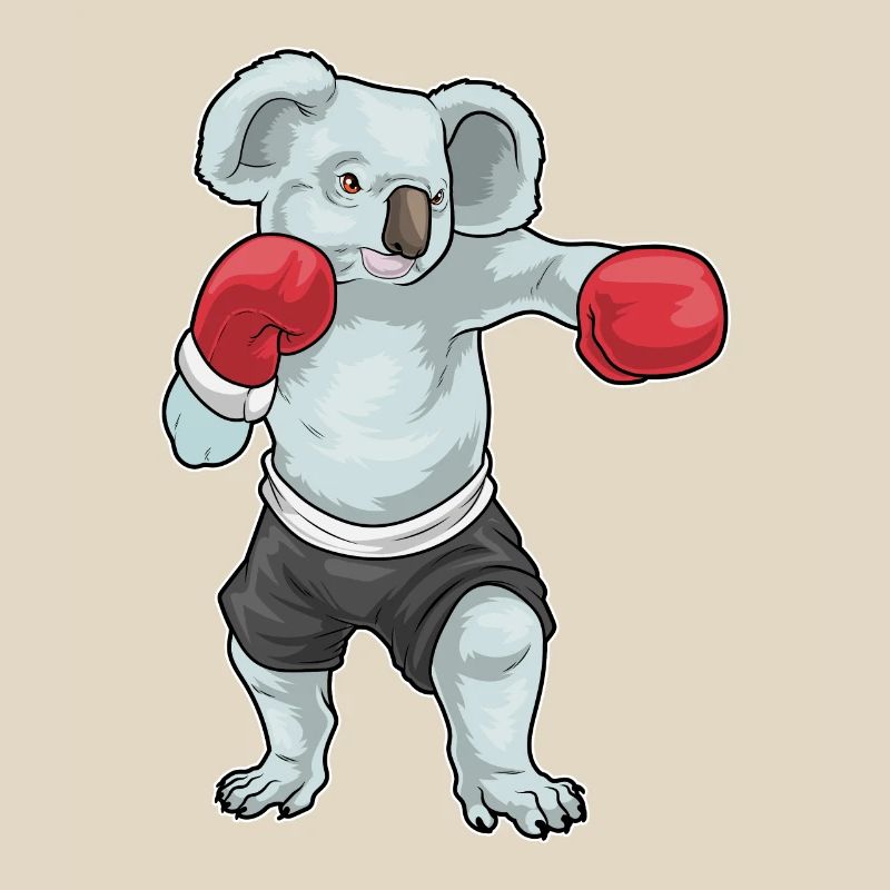 Koala Boxer Gants de Boxe Boxe
