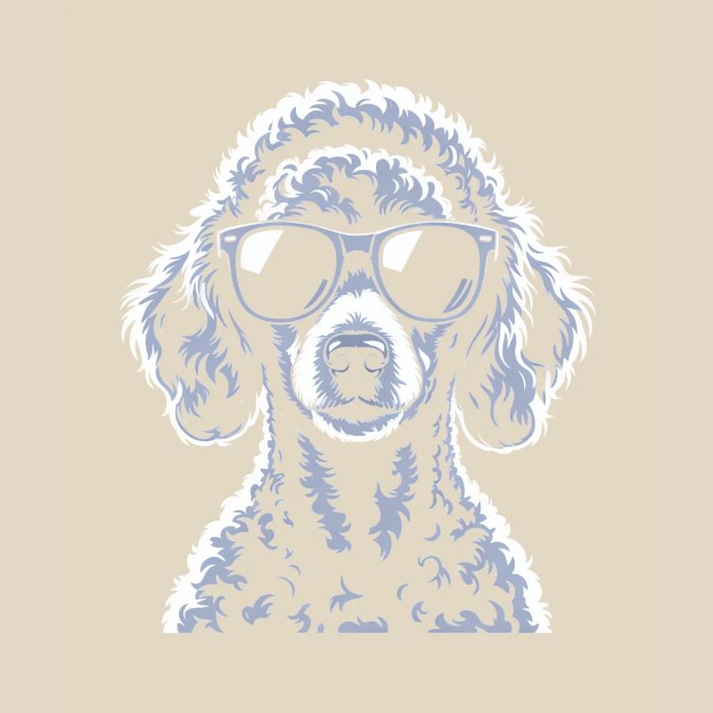 White Poodle