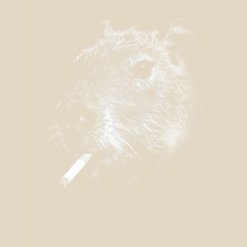 Rauchen, Zigarette, Capybara raucht eine Zigarette