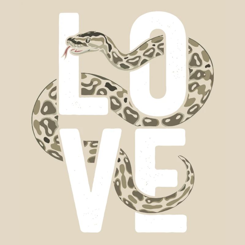 Les serpents rois Python ADORENT les pythons de terrarium