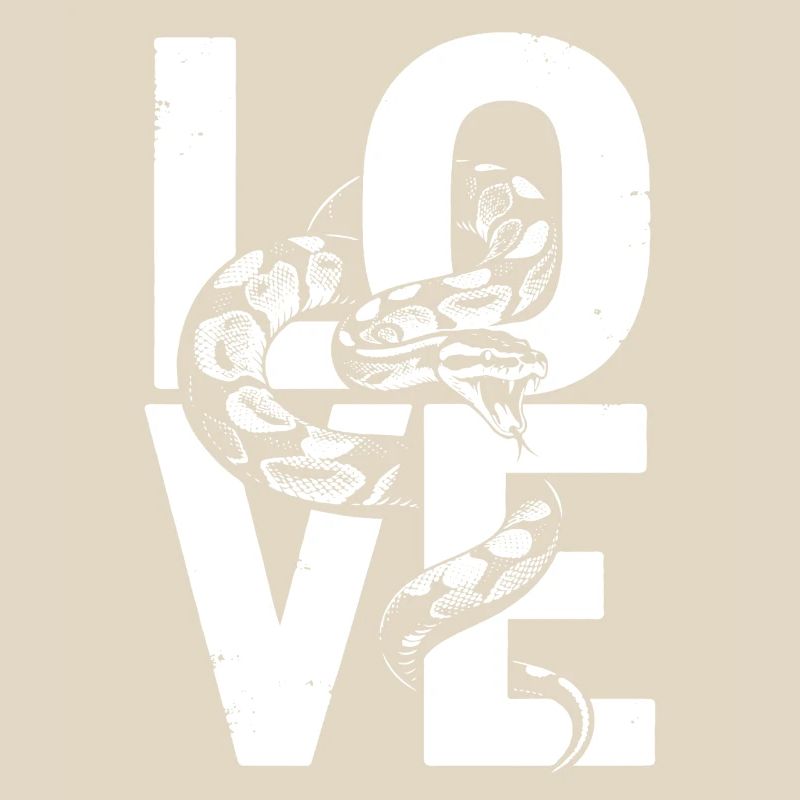 Les serpents rois Python ADORENT les pythons de terrarium