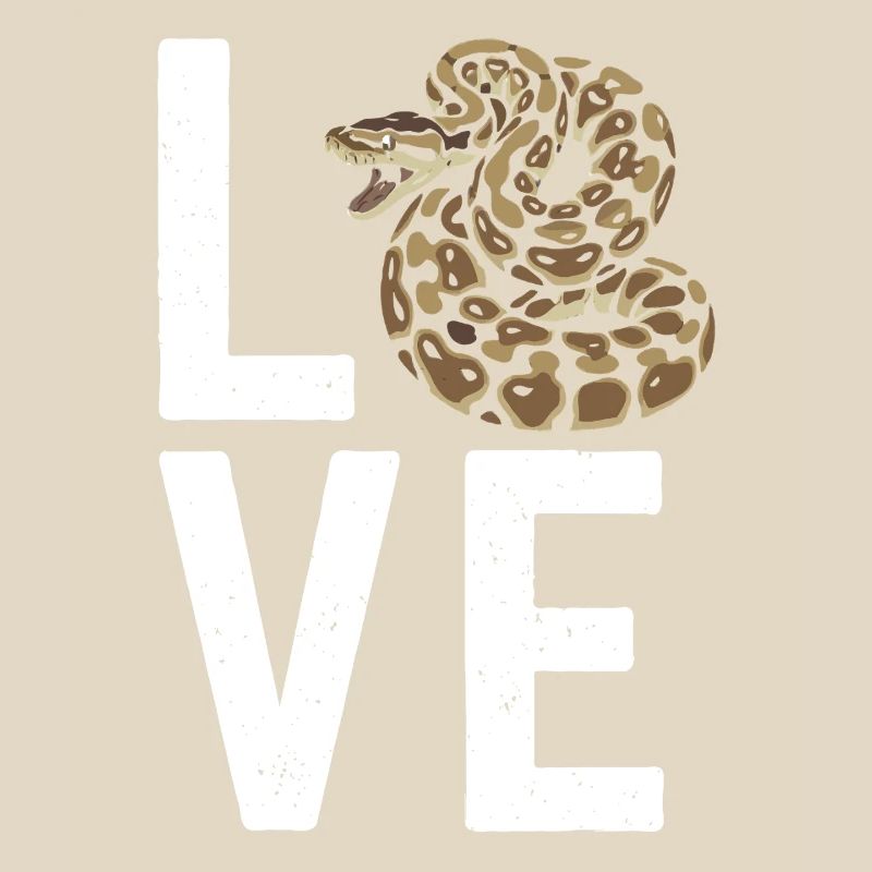 Les serpents rois Python ADORENT les pythons de terrarium