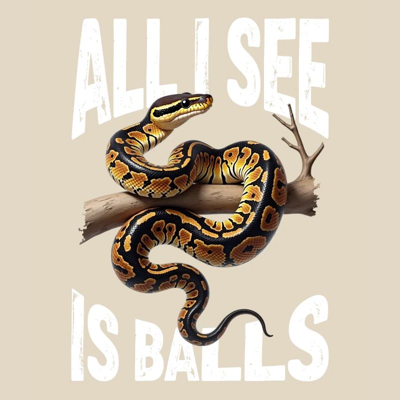 King Python Snakes Lover Terrarium Python