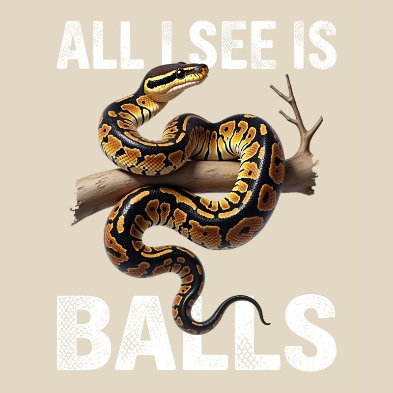 King Python Snakes Lover Terrarium Python