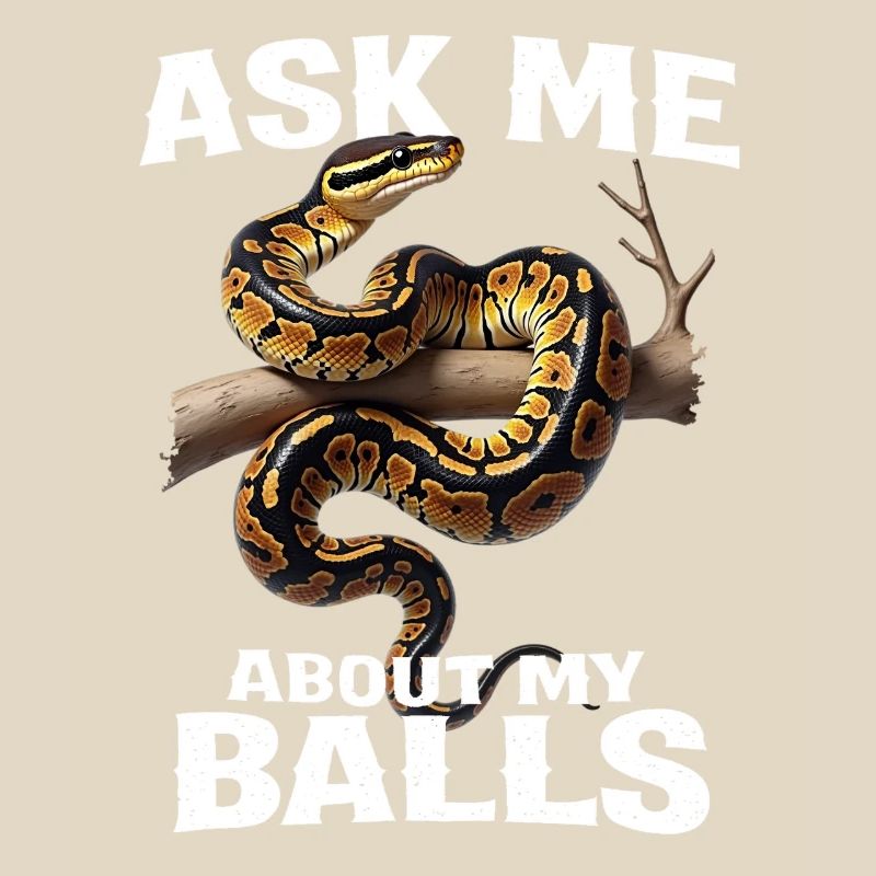 Python roi Serpents Amateurs de terrarium Python