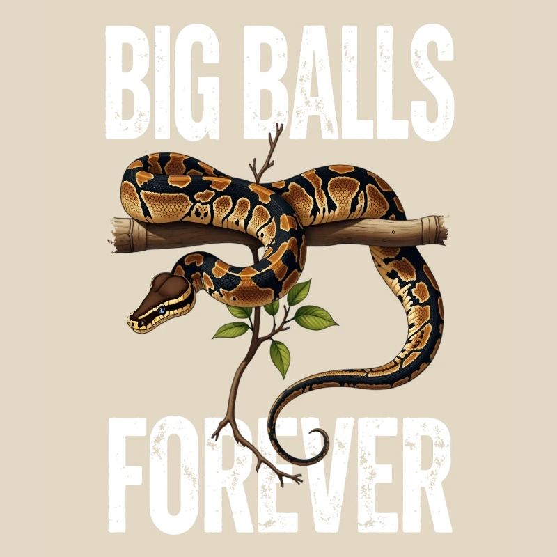 Königspython Schlangen Liebhaber Terrarium Python