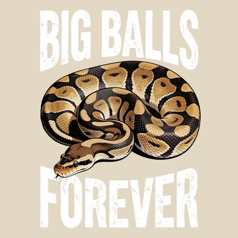 Königspython Schlangen Liebhaber Terrarium Python