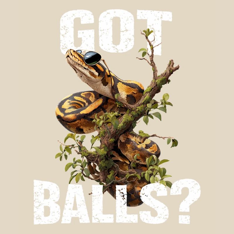 Königspython Schlangen Liebhaber Terrarium Python