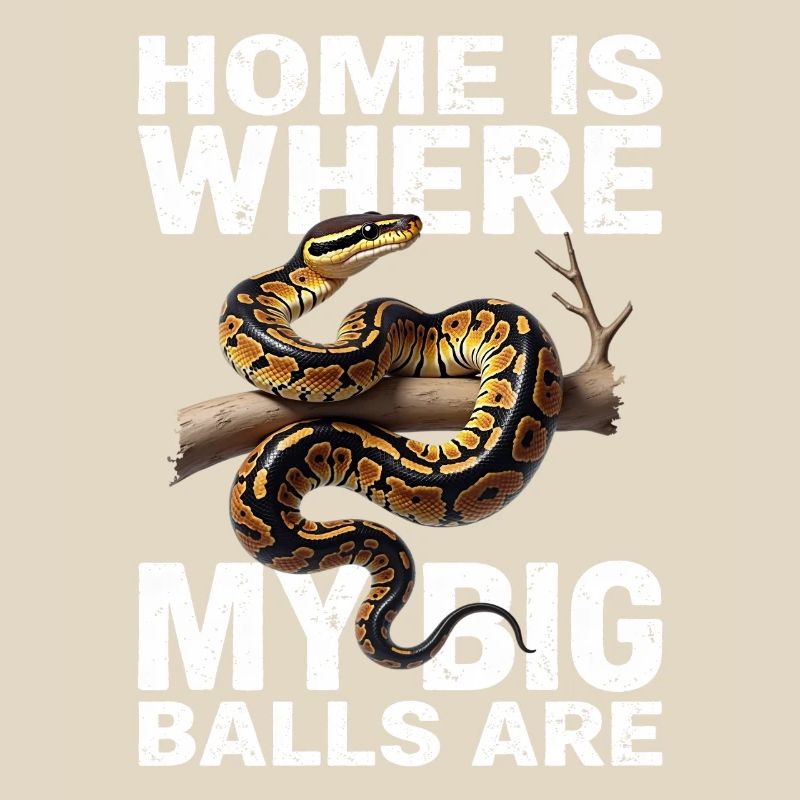 Königspython Schlangen Liebhaber Terrarium Python