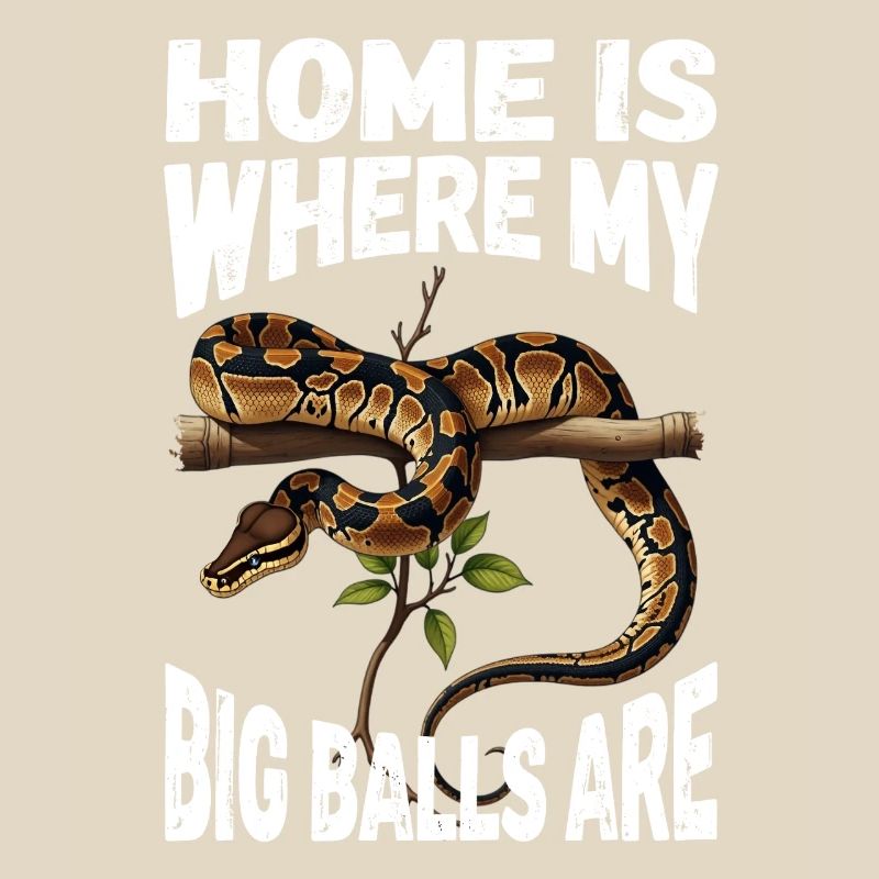 Königspython Schlangen Liebhaber Terrarium Python