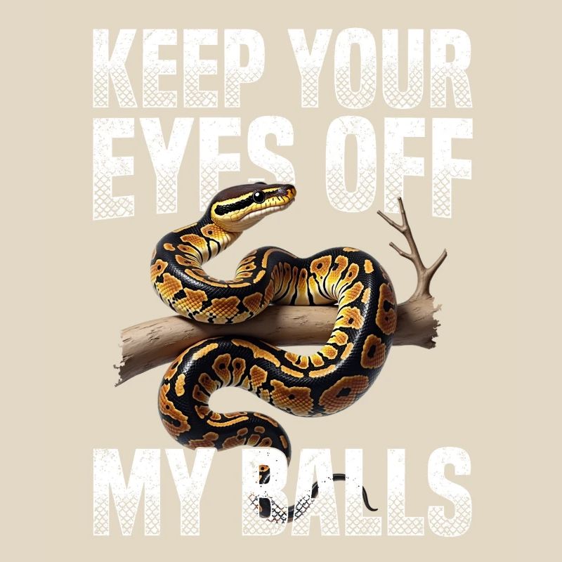 Königspython Schlangen Liebhaber Terrarium Python