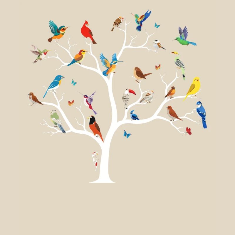 Observation des oiseaux Ornithologue Nerd