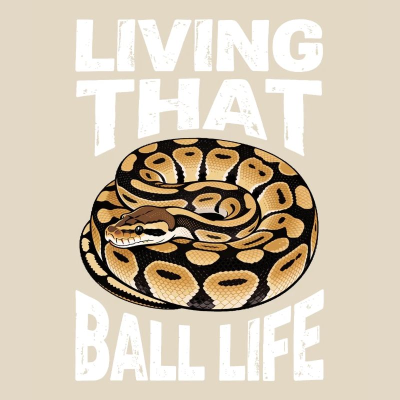 Königspython Schlangen Liebhaber Terrarium Python