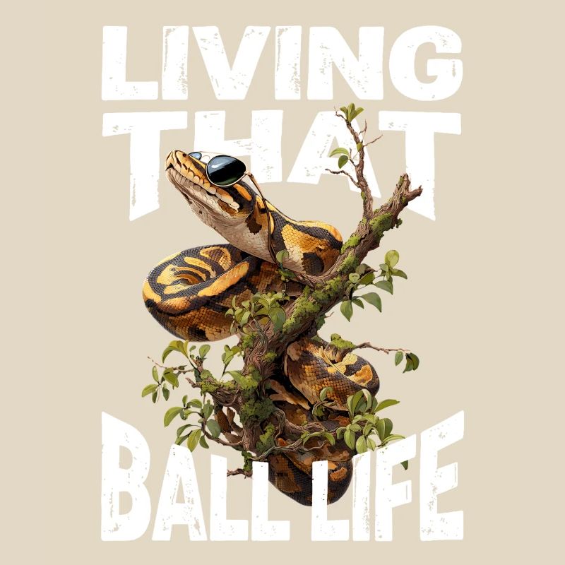 Königspython Schlangen Liebhaber Terrarium Python