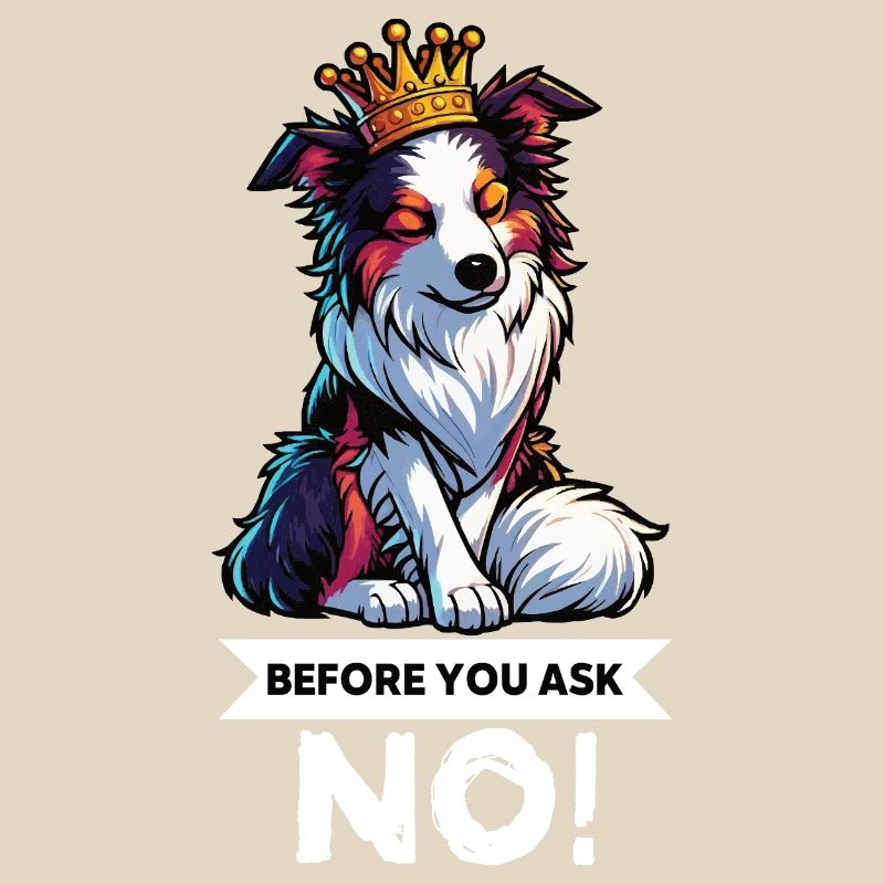 Before You Ask Australian Shepherd Aussie Aussies