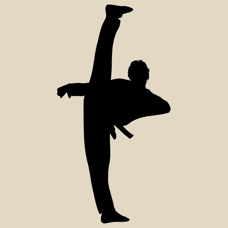High Kick von Taekwondo oder Karate Schattenfigur